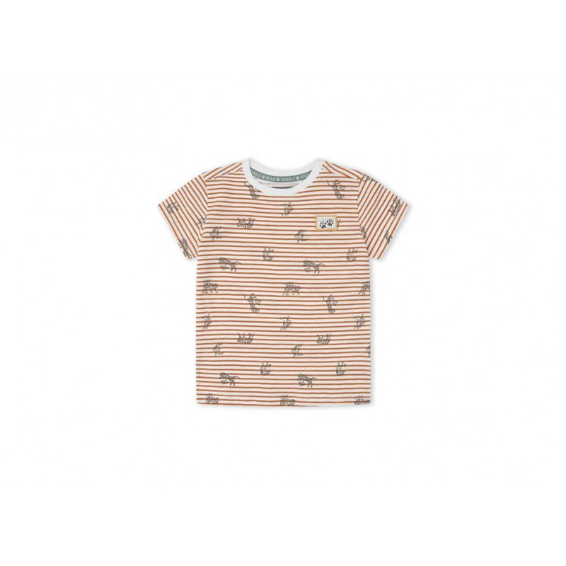 CAMISETA CHICO RAYAS TIGRE
