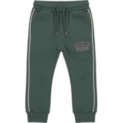 Pantalón de chándal verde...