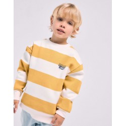 Sudadera niño rayas anchas...