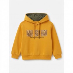 Sudadera Capucha Infantil...