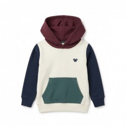 Sudadera de niño multicolor...
